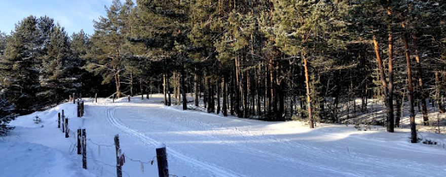 Territoriya Otdykha Gagarino