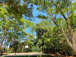 Parque Ecológico dos Jequitibás