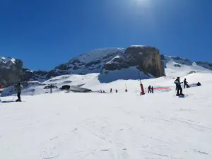 La Fournaise