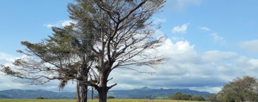 San Félix