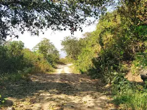 Zona Arqueológica de Iglesia Vieja