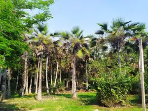 Termales "El Volcan"