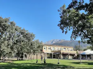 Camping de Candeleda