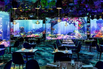 Ephemera Restaurant - Under the sea