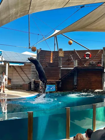 4_悉尼野生動物園