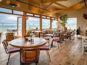 Dikke Zeehond - Beach Pavillion Paal 20