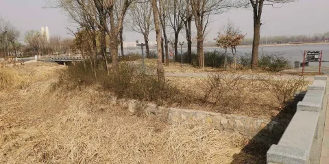 泗河源國家濕地公園-知春島