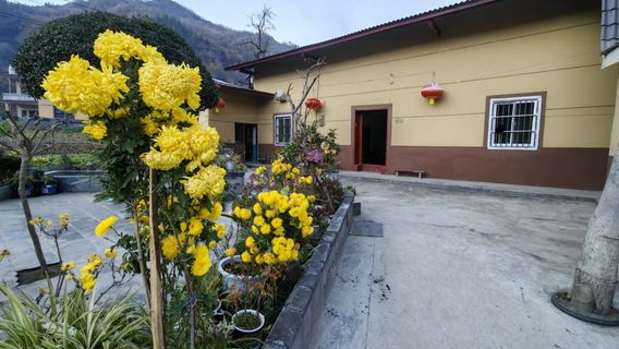 ke lu gu xiang ( lan gao xian zao shu cun chen jia yuan zi )