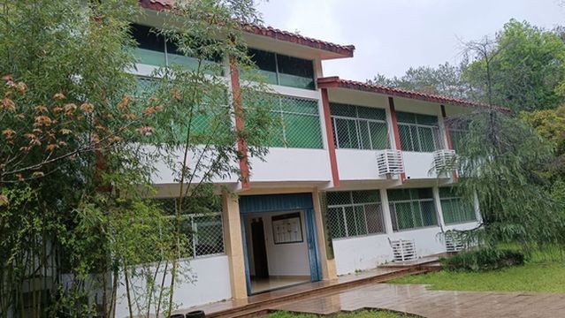 Sightseeing Bus South Station