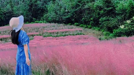 Wheatfield Bay Flower Sea