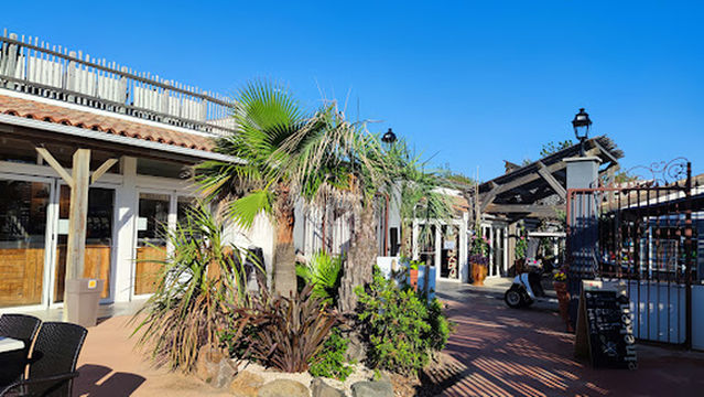 The Mediterraneans - New Camping Florida