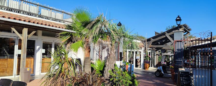 The Mediterraneans - New Camping Florida