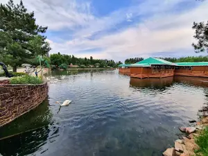 Tsentr Otdykha "Gavayi"