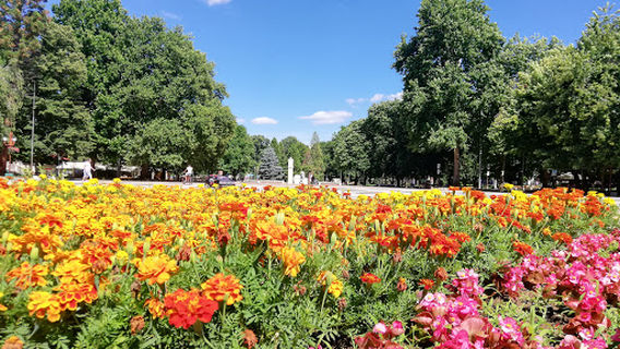 Park Montanezium