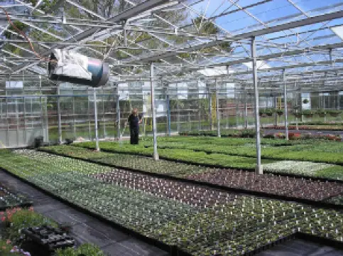 Ashbrook Nursery, Garden Centre & Café