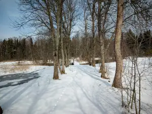 Dol "Ignatovskiy"