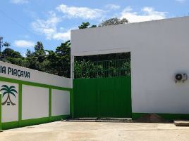 Bahia Piaçava