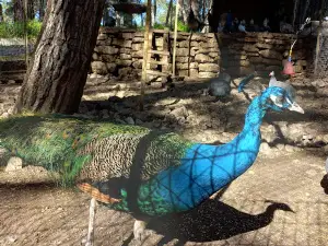 Kumluca Cistern Hill Zoo