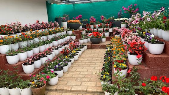 Government Botanical Garden Munnar