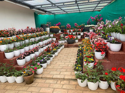 Government Botanical Garden Munnar