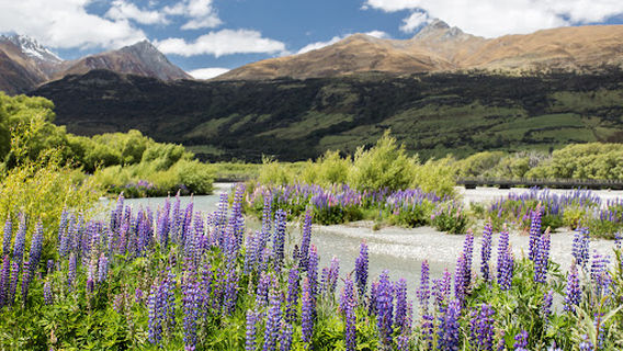 Glenorchy