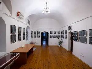 Новгород-Северский краеведческий музей