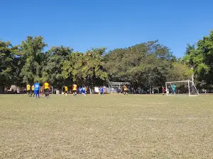 Deportivo Colón