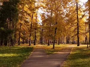 Взрослый парк