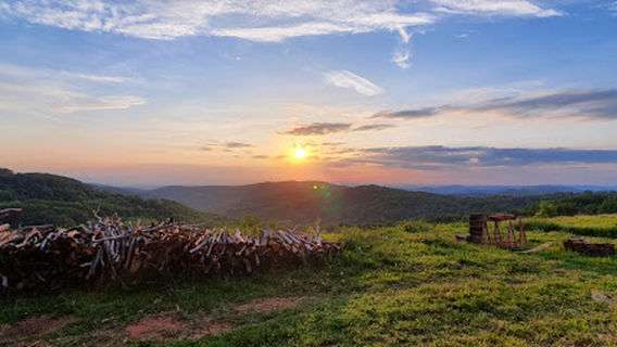 Lovačka kuća Petrović Goran