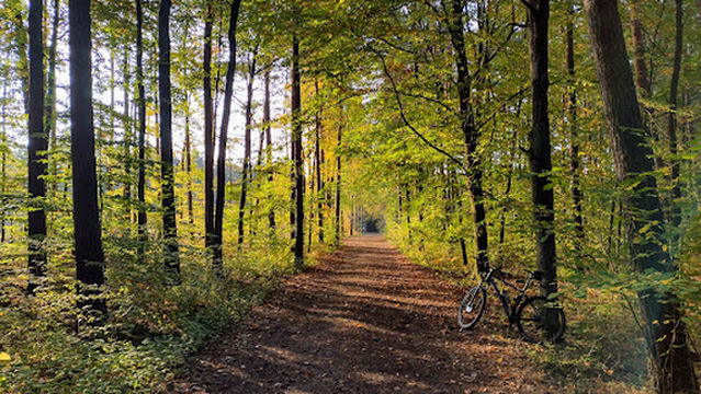 Reserve Zielona Gora