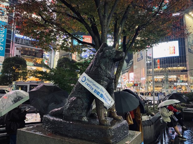 Hachiko Statue Tickets [2026] - Promos, Prices, Reviews & Opening