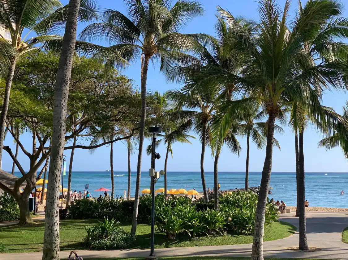 Hotels near Fort DeRussy Beach Park