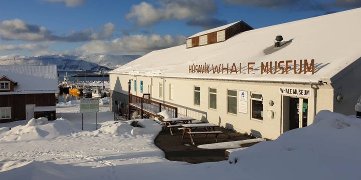 Húsavík Whale Museum