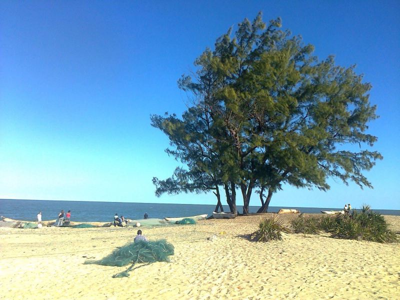 Dar es salaam to Beira Flights