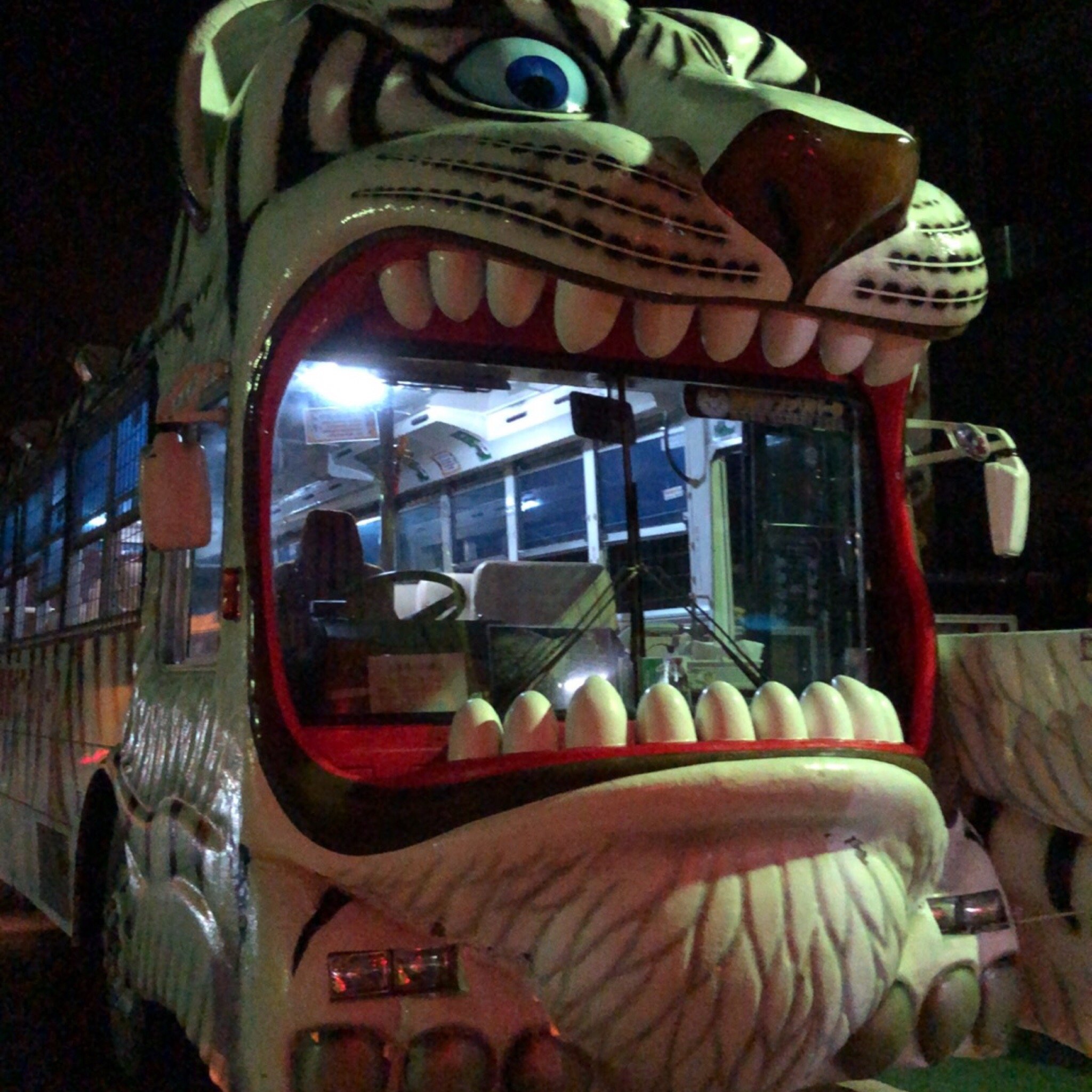 杤木 那須サファリパーク 入場Eチケット 予約