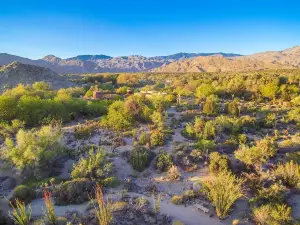 The Living Desert Zoo and Gardens