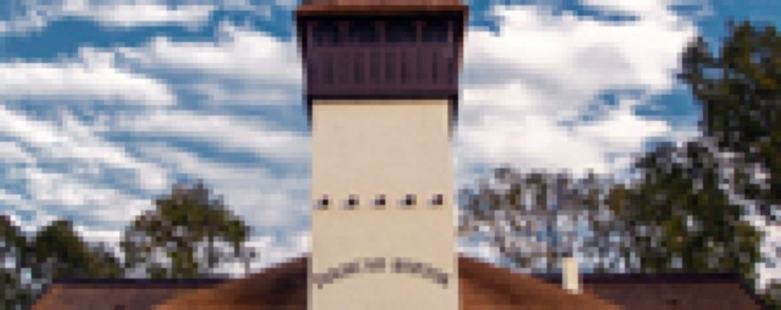 Berehivs'kyi district