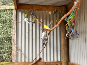 Phillip Island Nature Park