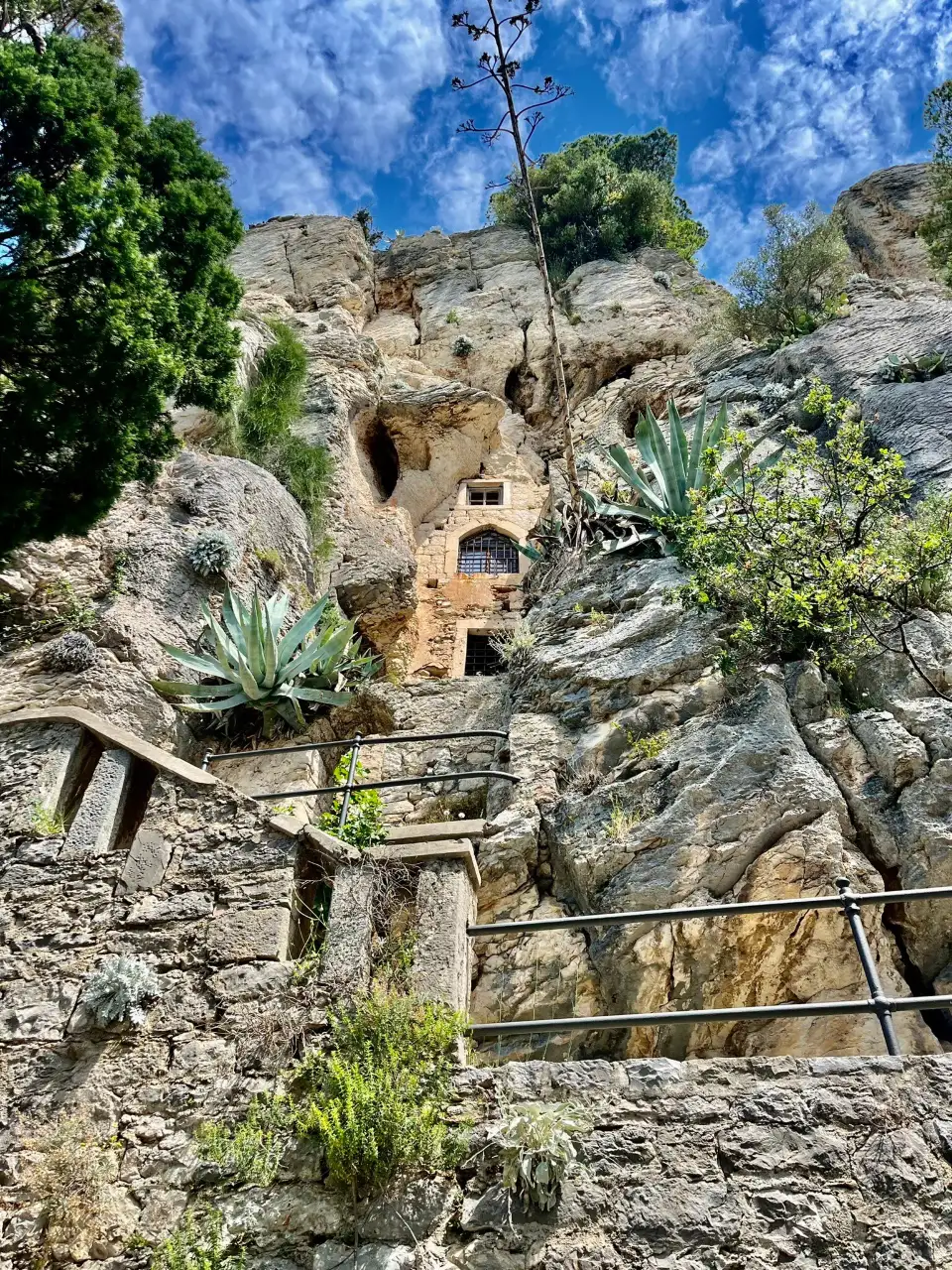 2_Forest Park Marjan