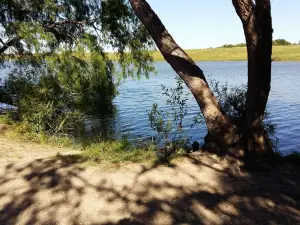 Live Oak's Main City Park