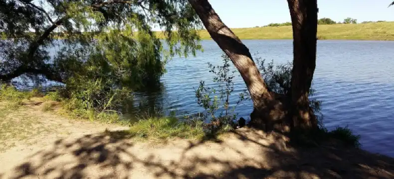 โรงแรมในLive Oak