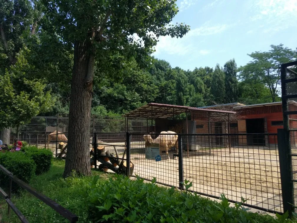 2_Zoo Bucharest