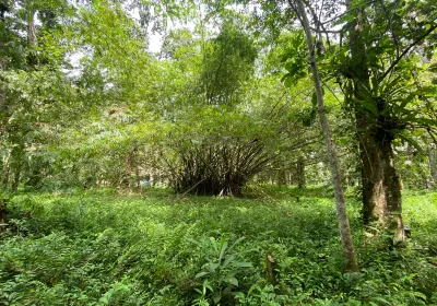 Banco National Park