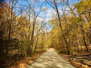 Happy Hollow Park