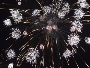 Ashikaga Fireworks