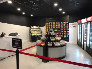 CinePlanet