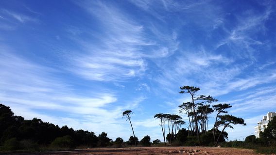 Parque Franklin Delano Roosevelt