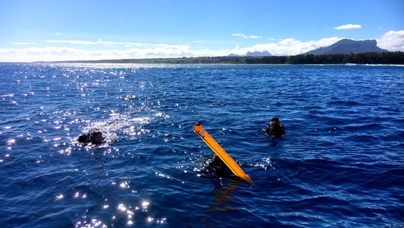 SeaUrchin Diving Center
