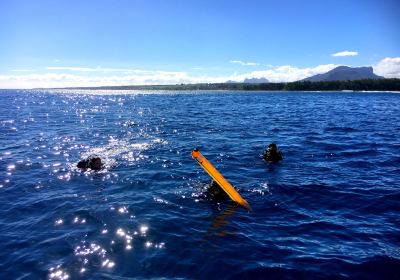 SeaUrchin Diving Center