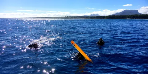 Sea-Urchin Diving Center